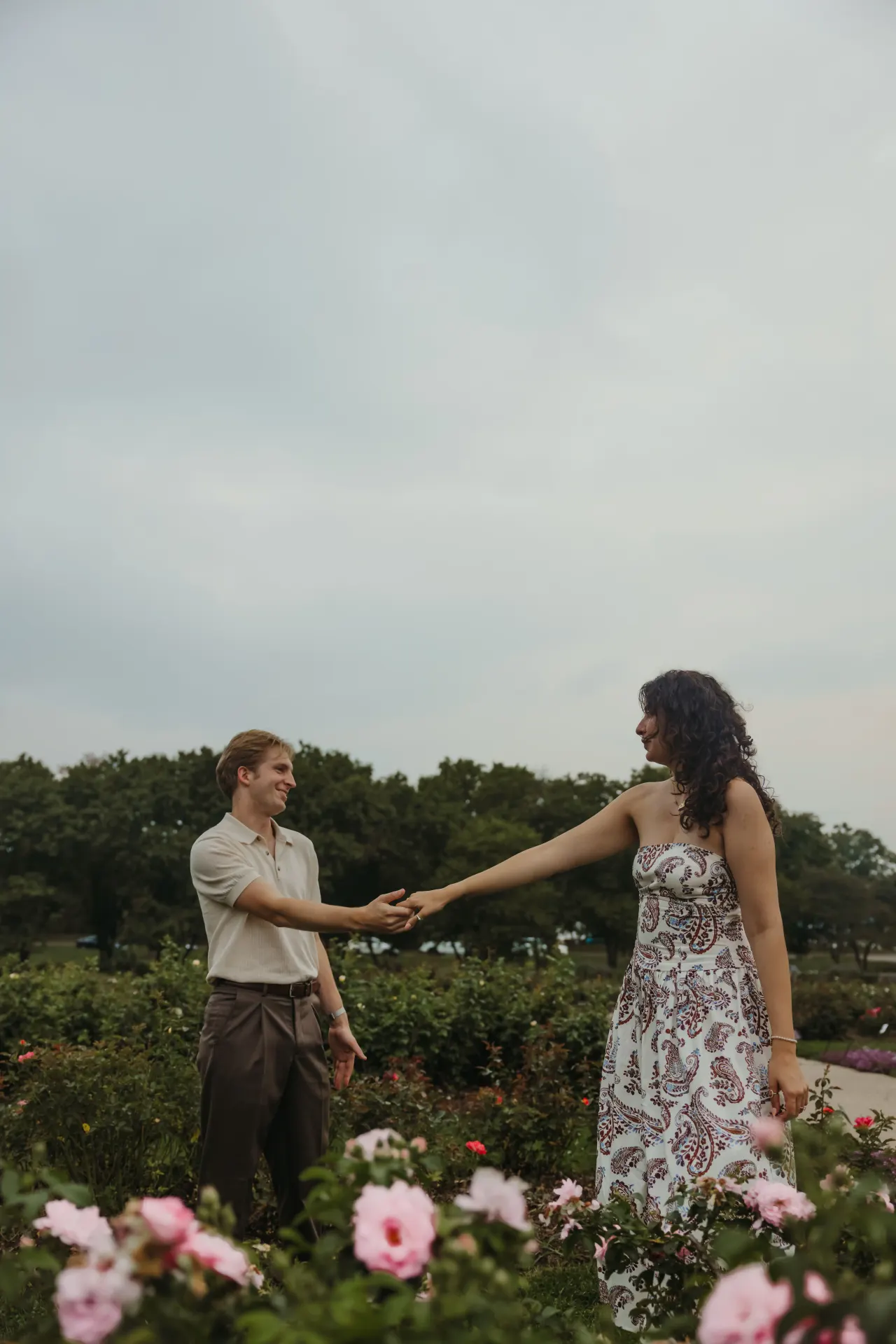 Couple reaching for each other's hands among rows of blooming roses — Minneapolis & Twin Cities wedding photography by Emma Ziegler, Honey Deww Photography (Minnesota)