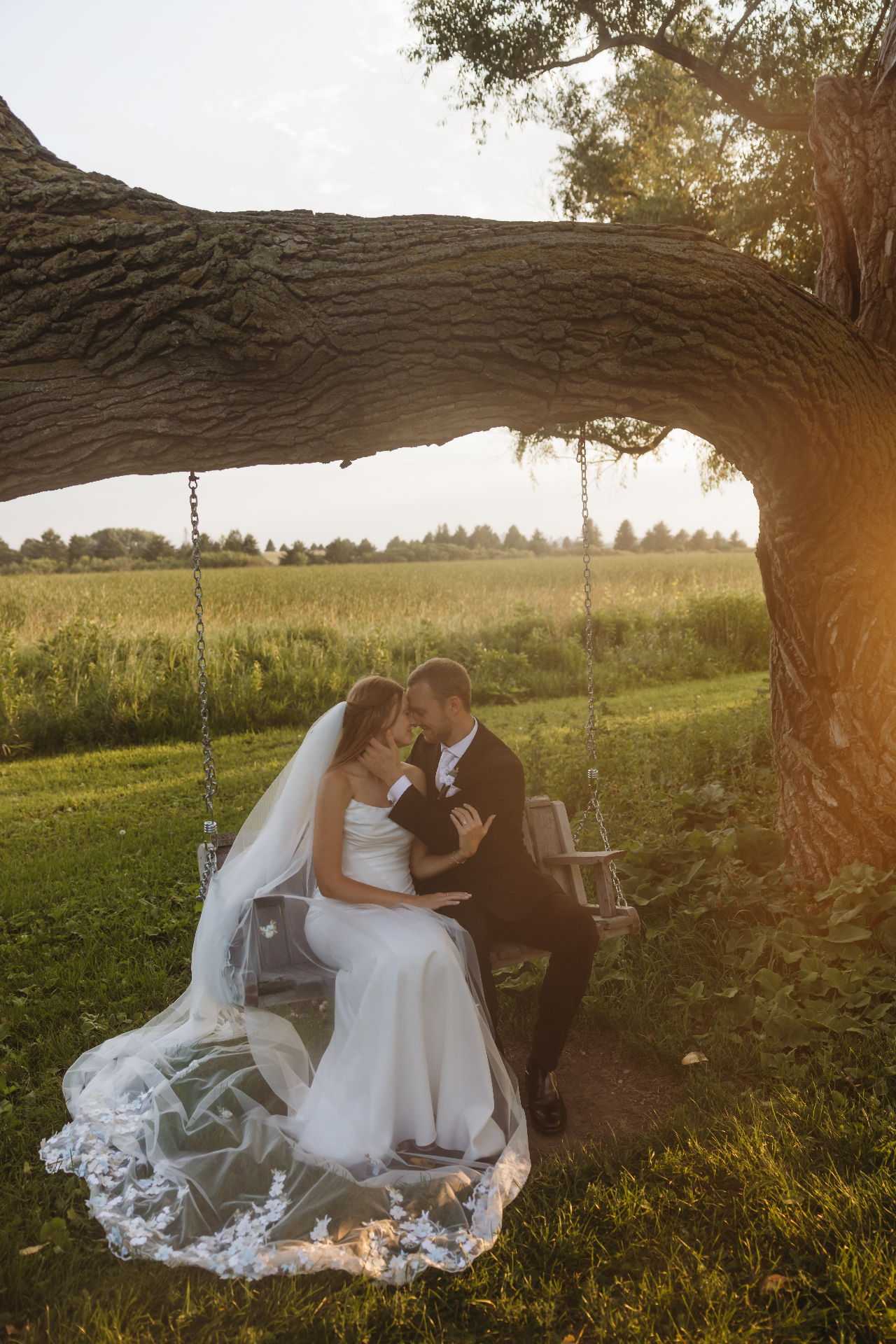 Bride and groom on tree swing at sunset